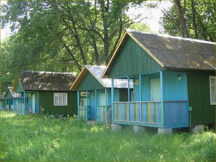 (уникальная, база, отдыха, березка, воронежской) Уникальная база отдыха