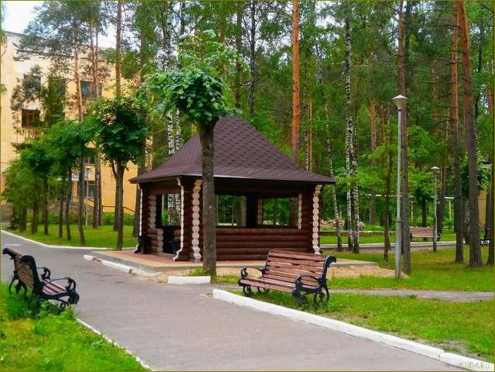 (база, отдыха, клинцах, брянской, области) База отдыха в Клинцах Брянской области — идеальное место для полноценного отдыха и релаксации в окружении природы