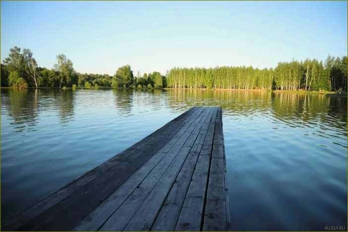 (база, отдыха, клинцах, брянской, области) База отдыха в Клинцах Брянской области — идеальное место для полноценного отдыха и релаксации в окружении природы