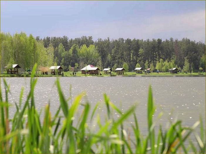 (база, отдыха, клинцах, брянской, области) База отдыха в Клинцах Брянской области — идеальное место для полноценного отдыха и релаксации в окружении природы