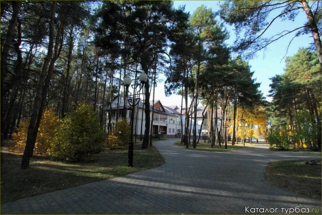 (уникальная, база, отдыха, белгородской, области) Уникальная база отдыха в Белгородской области для настоящих металлургов — отличный выбор для активного отдыха и комфортного размещения