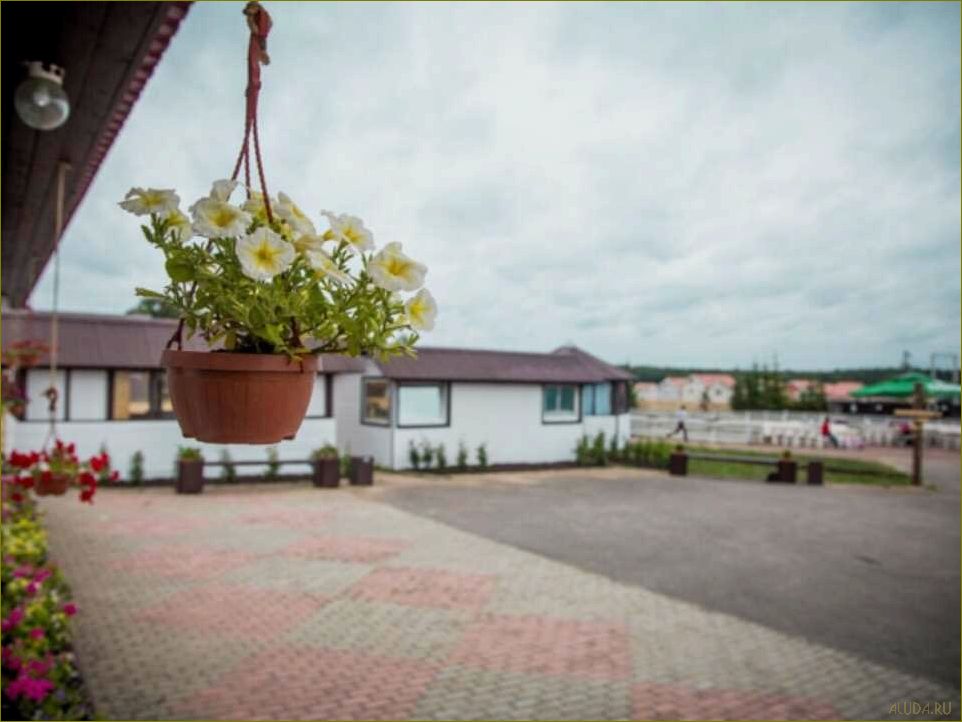 (отдых, базе, ломоносов, ленинградская, область) Отдых в Базе Ломоносов Ленинградская область — идеальное место для расслабления и наслаждения окружающей природой