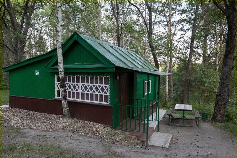 (база, отдыха, сосновая, гора, липецкой) База отдыха