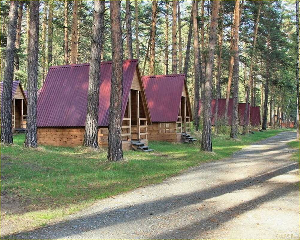 (лучшие, базы, отдыха, детей, ивановской) Лучшие базы отдыха для детей в Ивановской области — откройте для своих ребят мир приключений и незабываемых впечатлений