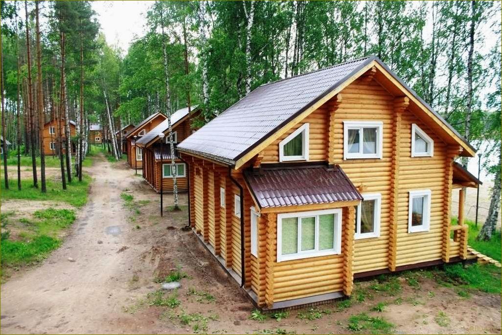 (лучшие, базы, отдыха, мологе, вологодской) Лучшие базы отдыха на Мологе в Вологодской области — идеальное место для релаксации и отдыха на природе