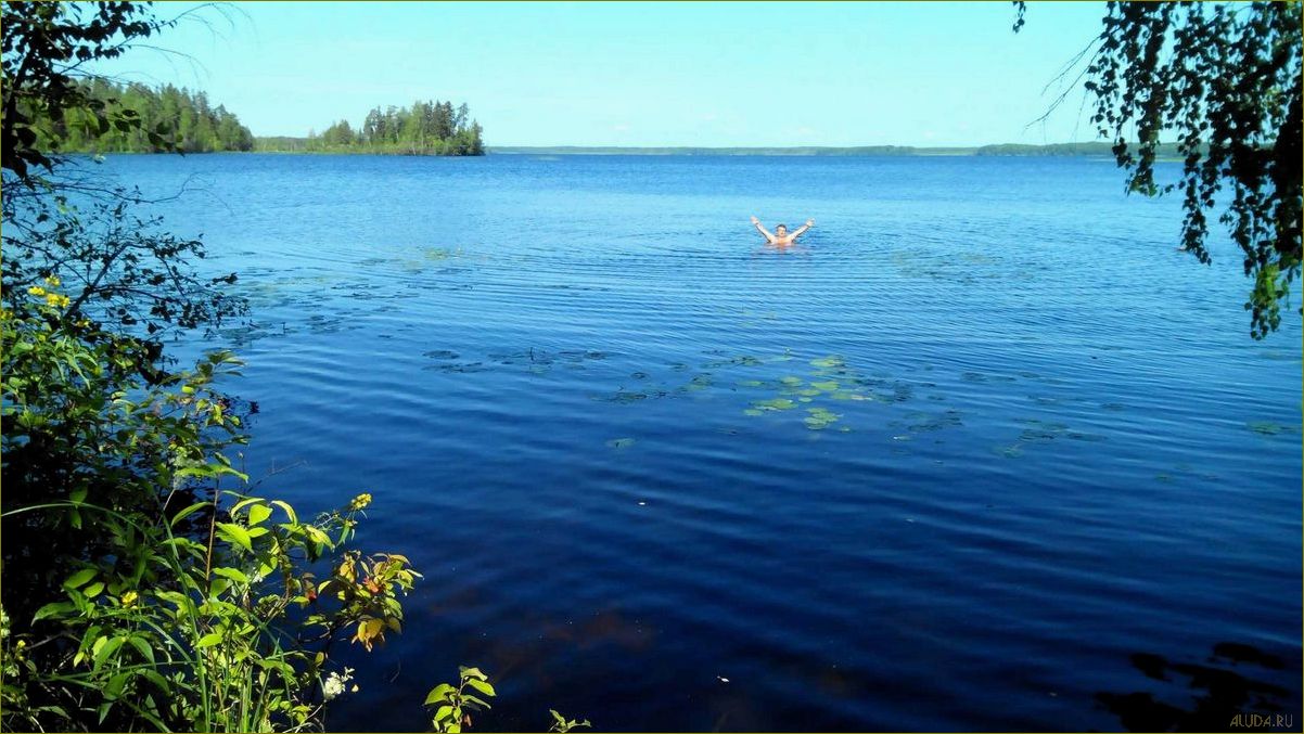 (лучшие, базы, отдыха, прекрасном, белом) Лучшие базы отдыха на прекрасном Белом озере в Вологодской области — отдыхайте в окружении природы и наслаждайтесь активными развлечениями!