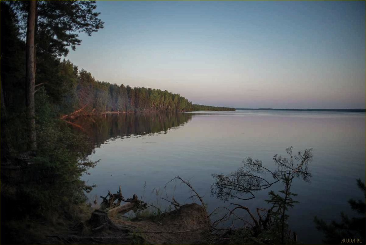 (лучшие, базы, отдыха, прекрасном, белом) Лучшие базы отдыха на прекрасном Белом озере в Вологодской области — отдыхайте в окружении природы и наслаждайтесь активными развлечениями!