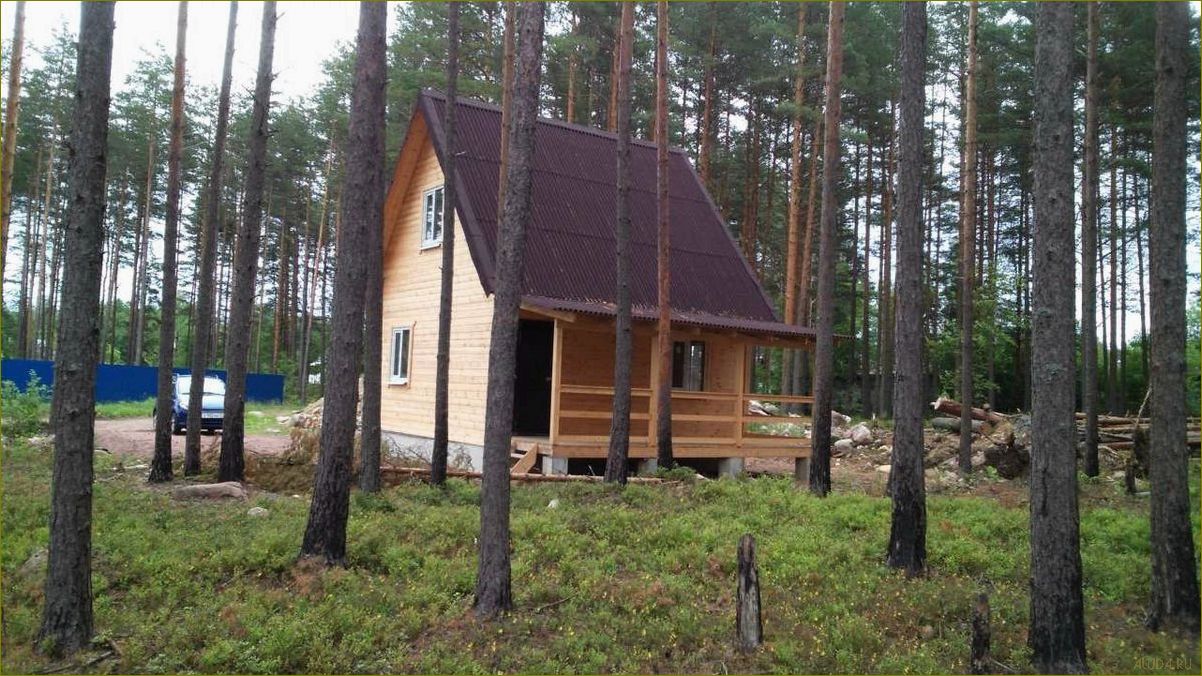 (отдых, берегу, ленинградской, области, уникальные) Отдых на берегу Ленинградской области — уникальные базы для незабываемого приморского отдыха