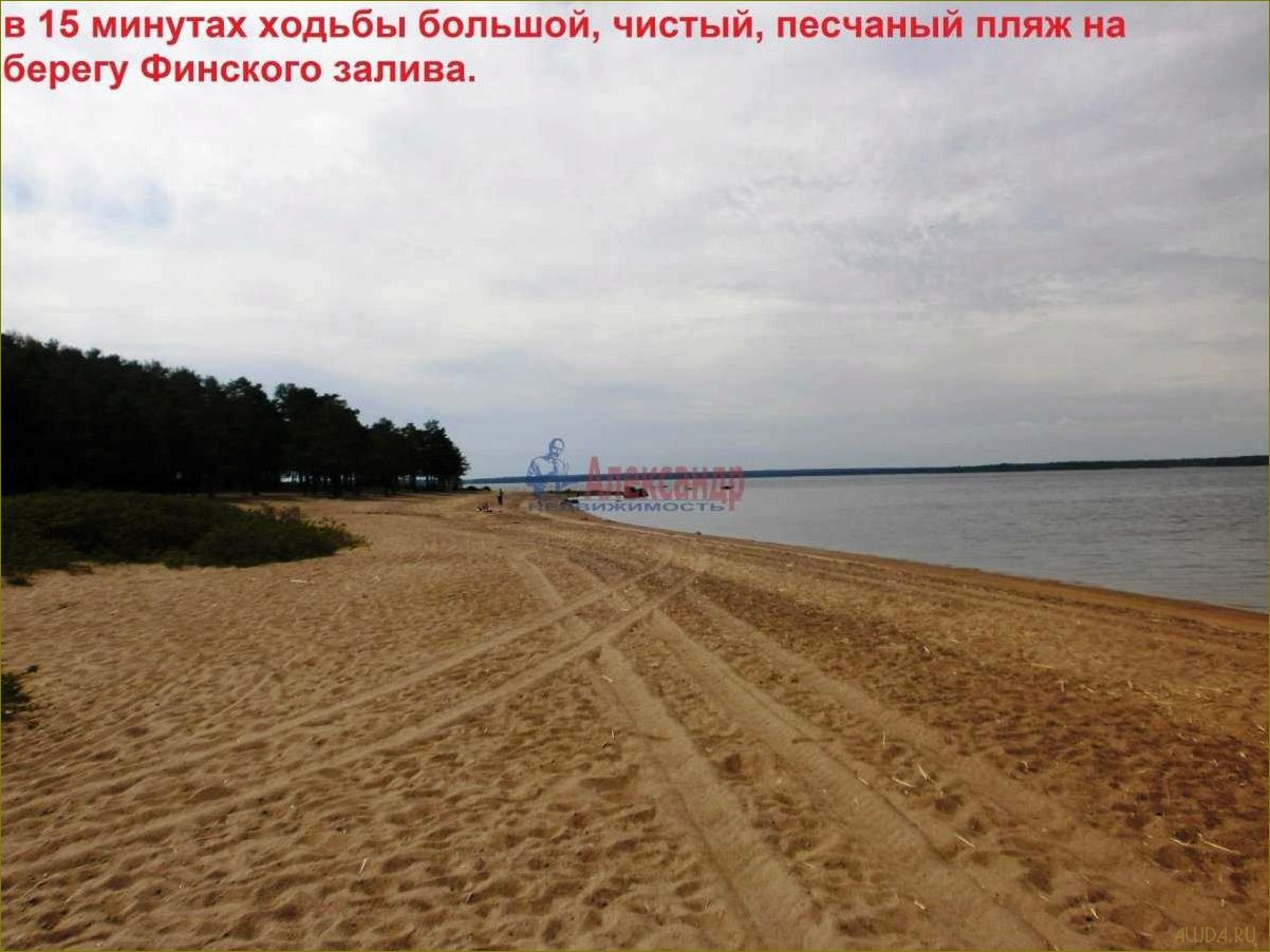 (отдых, берегу, ленинградской, области, уникальные) Отдых на берегу Ленинградской области — уникальные базы для незабываемого приморского отдыха