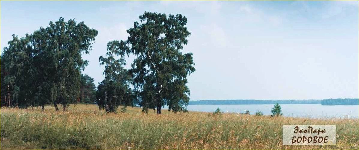 (боровое, новосибирская, область, отдых, палатками) Боровое Новосибирская область — отдых с палатками, отзывы, лучшие места и советы для путешественников