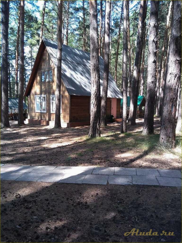 (отзывы, палаточном, отдыхе, бурмистрово, новосибирская) Отзывы о палаточном отдыхе в Бурмистрово, Новосибирская область — наслаждайтесь природой и комфортом в окружении живописных пейзажей