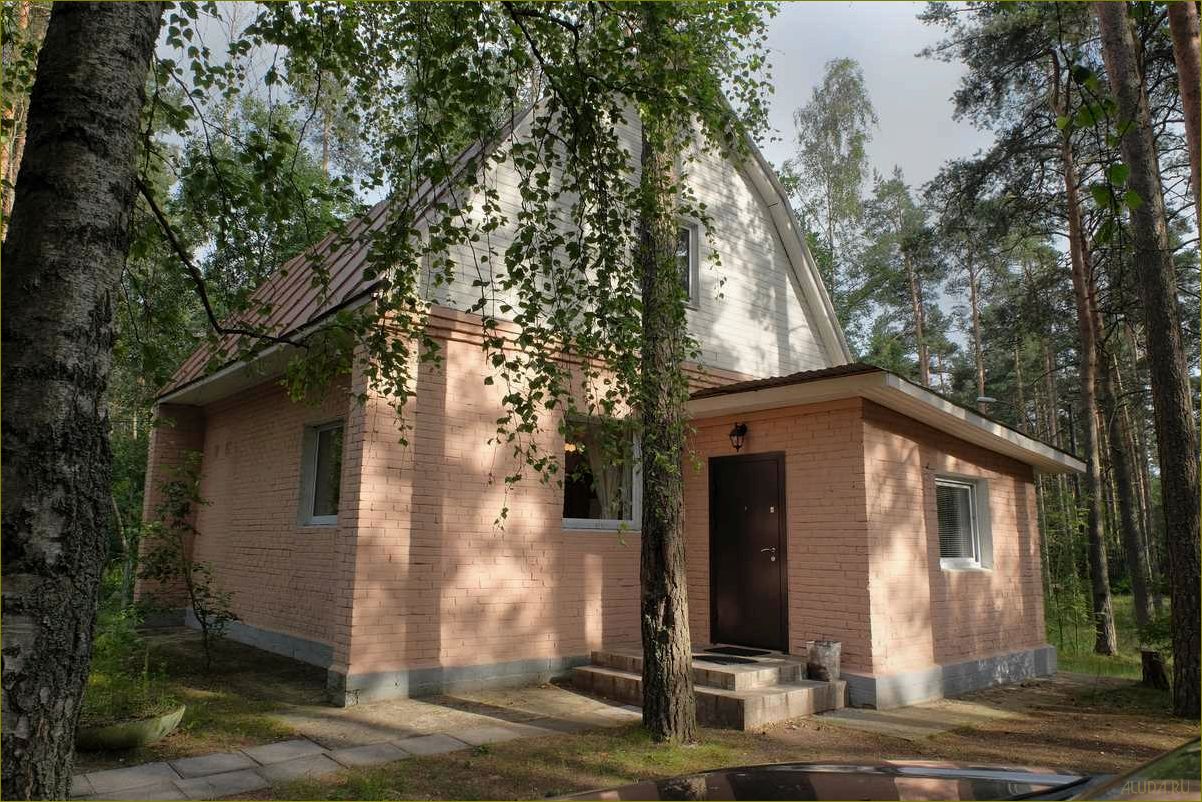 (отдыха, комарово, ленинградская, область, идеальное) Дом отдыха в Комарово, Ленинградская область — идеальное место для релаксации и наслаждения природой