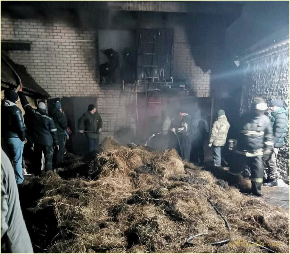 (отдыха, городищенском, районе, пензенской, области) Дом отдыха в Городищенском районе Пензенской области — идеальное место для отдыха и релаксации