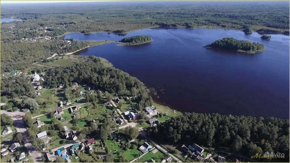 (домики, отдыха, пржевальском, смоленской, области) Домики для отдыха в Пржевальском в Смоленской области