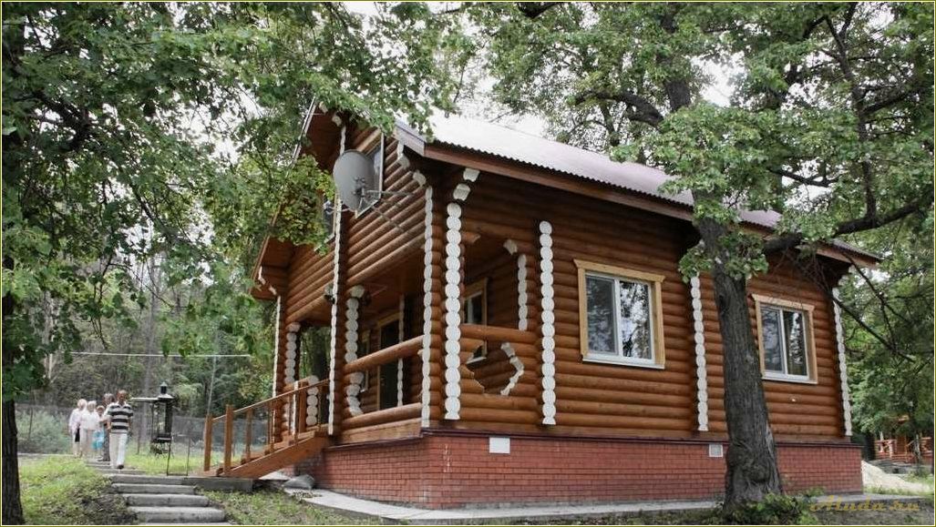 Дубки база отдыха Ульяновская область