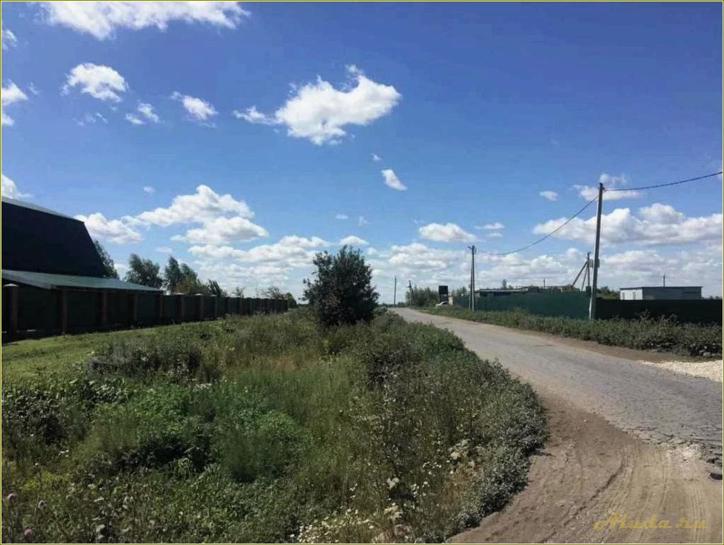 (екатериновка, самарская, область, безенчукский, район) Екатериновка самарская область безенчукский район отдых