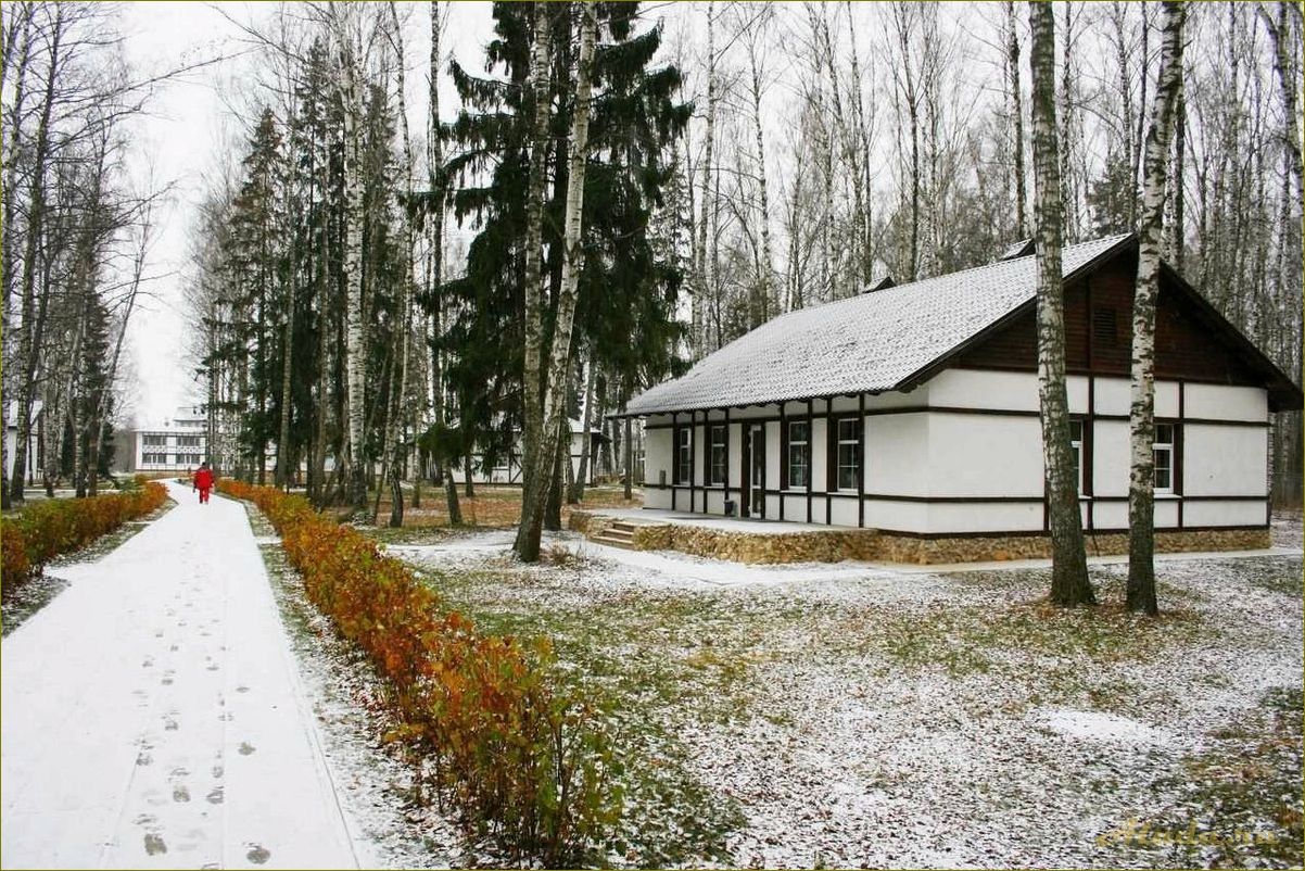 (ильдорф, база, отдыха, нижегородской, области) Ильдорф база отдыха в Нижегородской области — идеальное место для отдыха и развлечений
