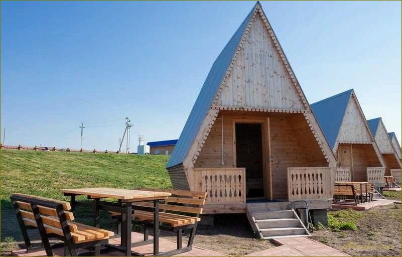 Конево — уникальная база отдыха в Новосибирской области, где совмещаются комфорт и природная красота