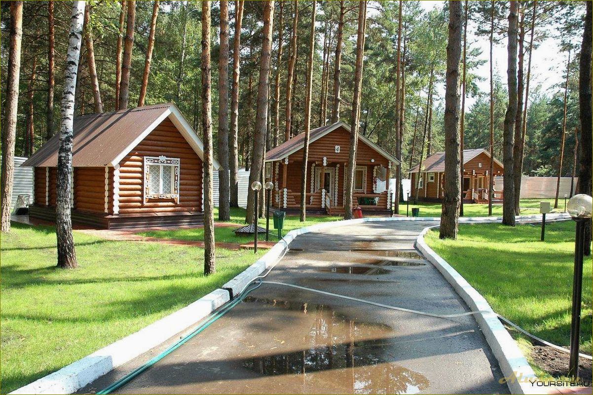 Конево — уникальная база отдыха в Новосибирской области, где совмещаются комфорт и природная красота