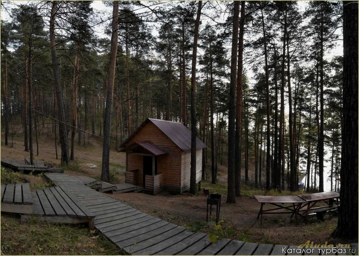 (лесная, поляна, челябинской, области, идеальное) Лесная поляна в Челябинской области: идеальное место для отдыха
