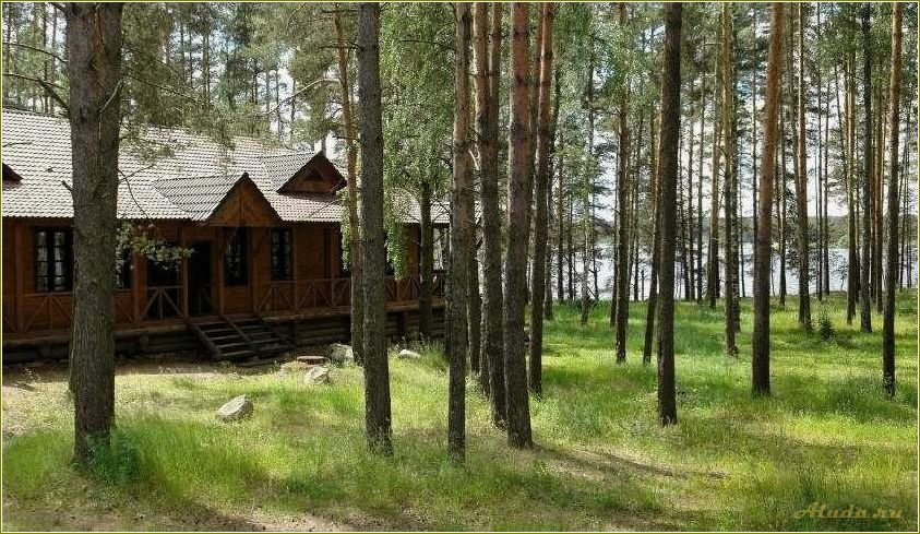 Медведково Ярославская область: база отдыха, цены