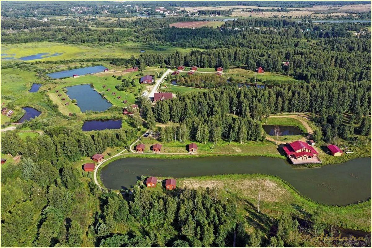 Медведково Ярославская область: база отдыха, цены