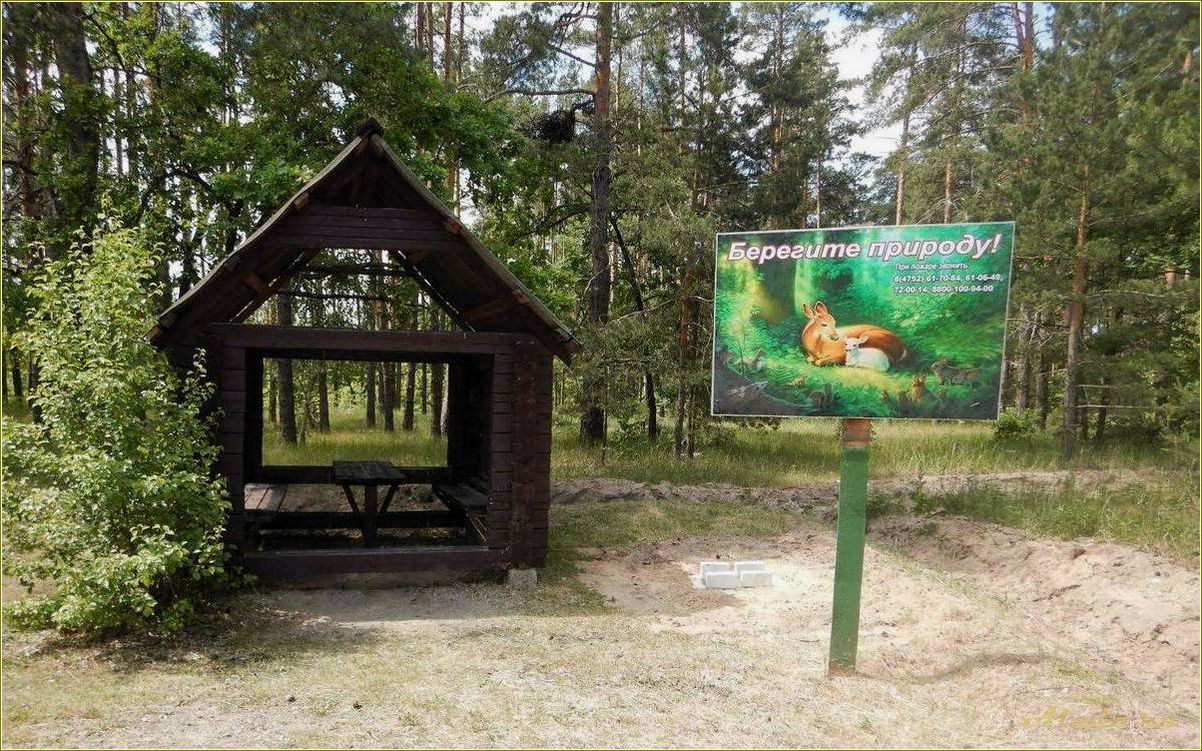 (места, отдыха, тамбове, тамбовской, области) Места для отдыха в Тамбове и Тамбовской области