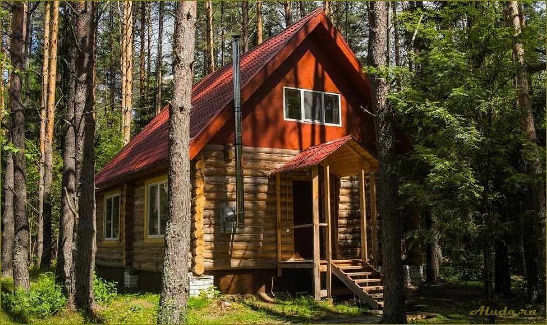 (нижегородская, область, отдых, берегу, великой) Нижегородская область — отдых на берегу великой реки Волга