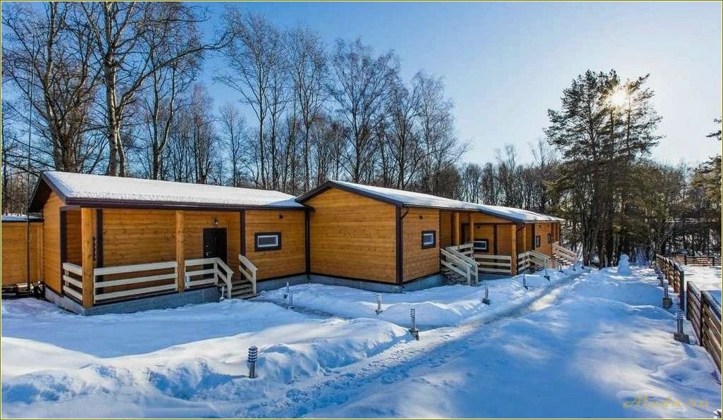 Базы отдыха в Тульской области: цены, условия, выбор