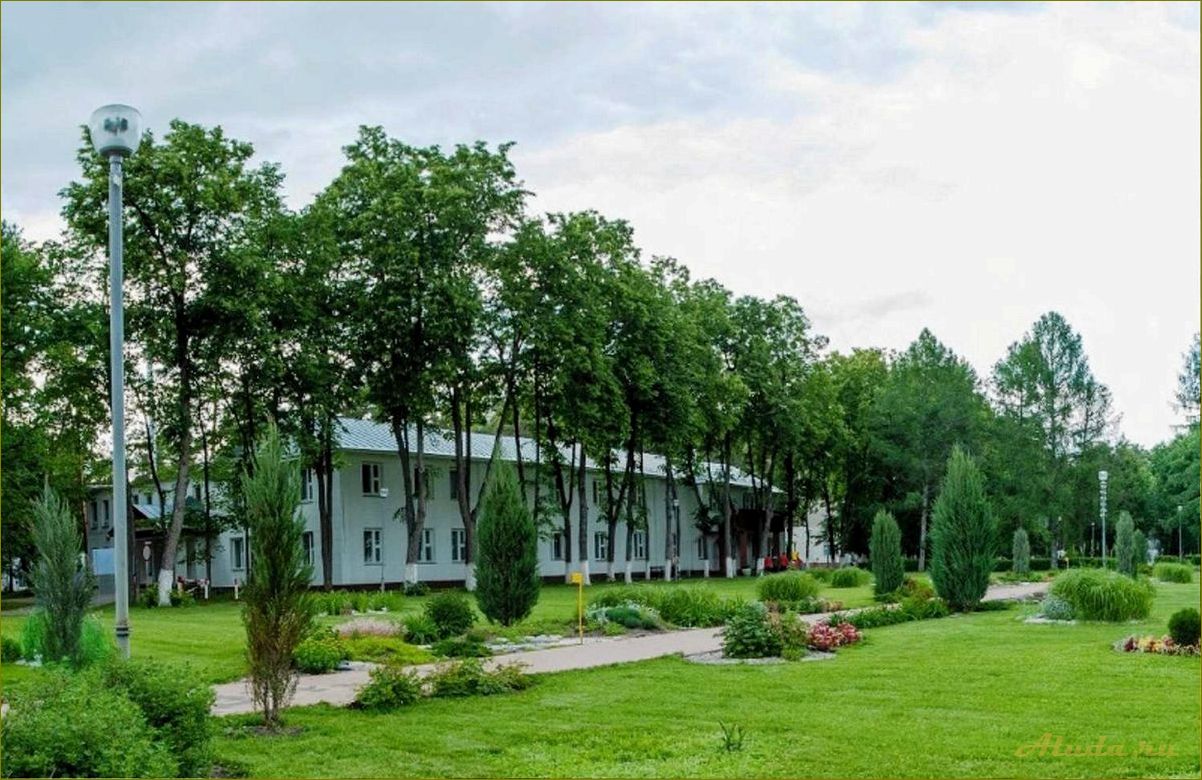 (отдых, зеленом, городе, нижегородской, области) Отдых в зеленом городе Нижегородской области — идеальная возможность насладиться природой и релаксировать
