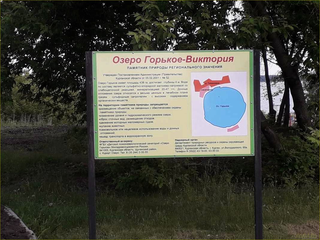 Отдых на озере Горькое — Курганская область впечатления, рекомендации и отзывы