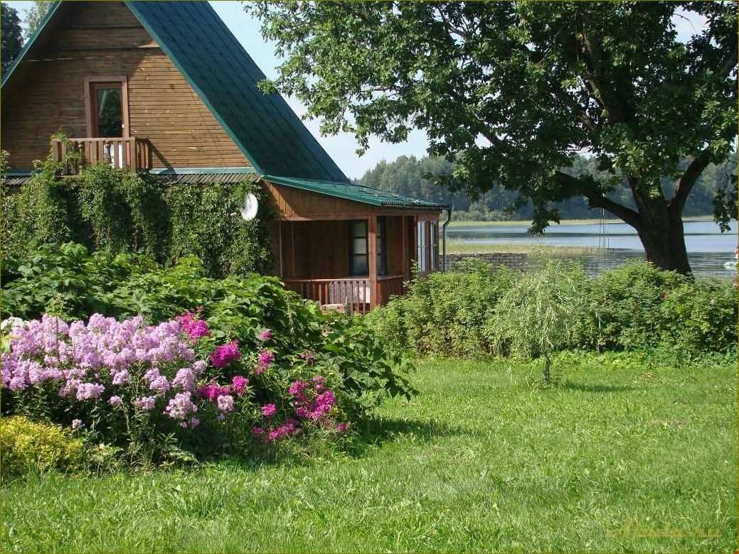 (отдых, частном, секторе, озере, новгородской) Отдых в частном секторе на озере в Новгородской области — идеальное место для релакса и наслаждения природой