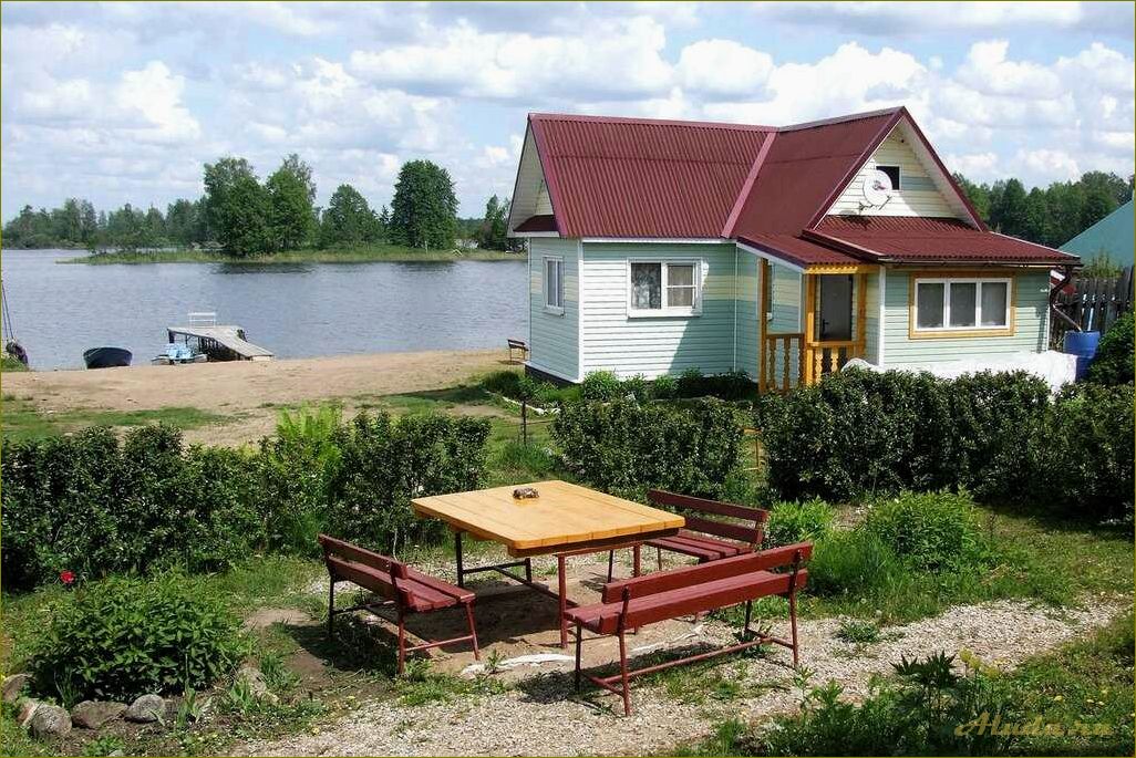(отдых, частном, секторе, озере, новгородской) Отдых в частном секторе на озере в Новгородской области — идеальное место для релакса и наслаждения природой