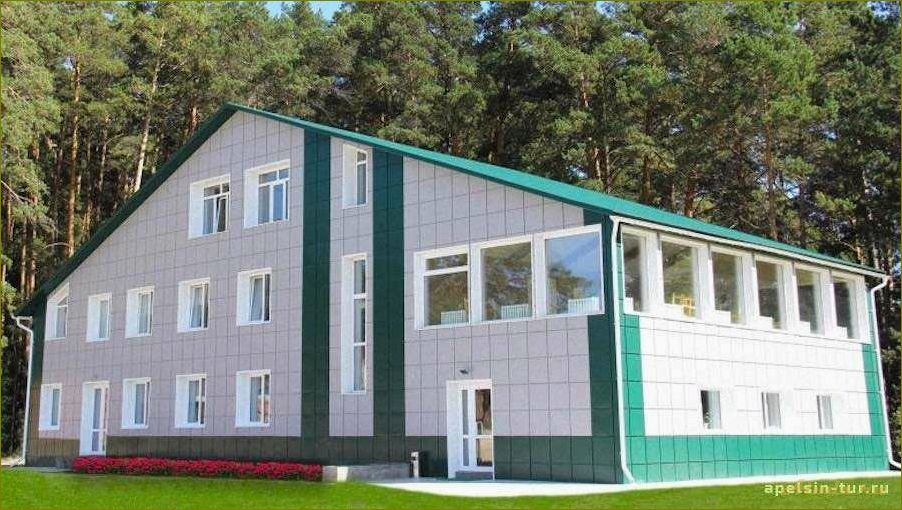 (отдых, петропавловке, муромцевского, района, омской) Отдых в Петропавловке Муромцевского района Омской области — где провести незабываемые каникулы в живописном уголке Сибири
