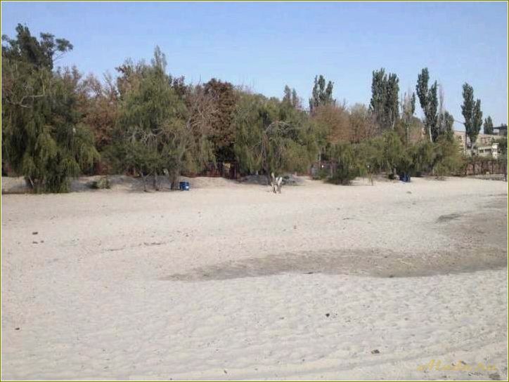 (село, петрушино, ростовской, области, идеальное) Село Петрушино в Ростовской области — идеальное место для отдыха и релаксации
