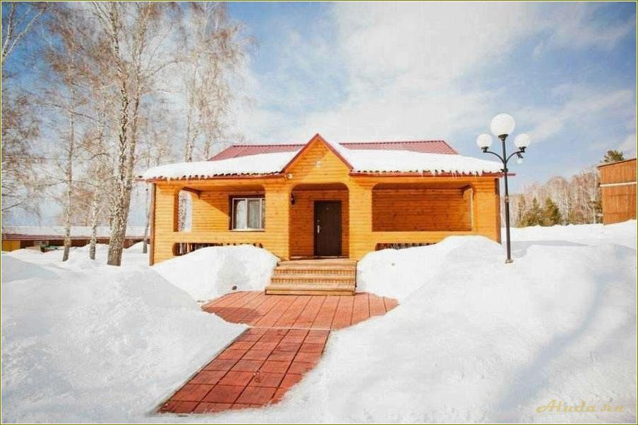 (сосновка, идеальное, место, отдыха, тюменской) Сосновка — идеальное место для отдыха в Тюменской области