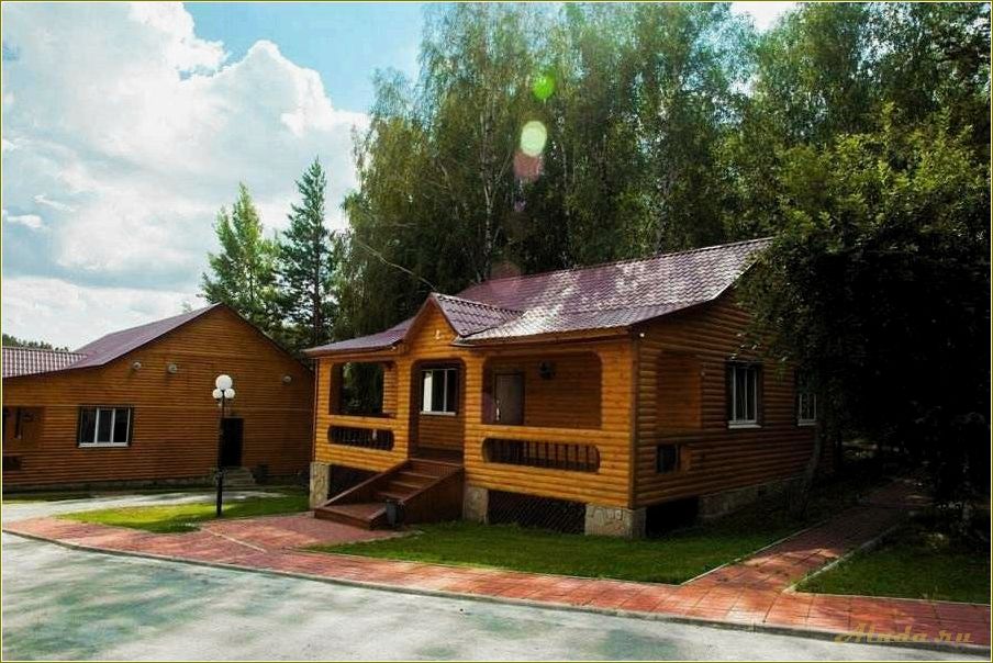 (сосновка, идеальное, место, отдыха, тюменской) Сосновка — идеальное место для отдыха в Тюменской области