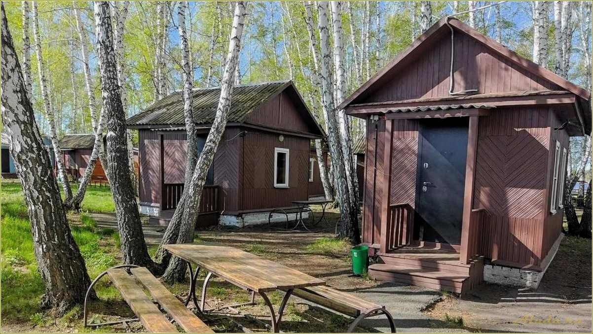 (лучшие, базы, отдыха, челябинской, области) Лучшие базы отдыха Челябинской области: отзывы, цены, фото