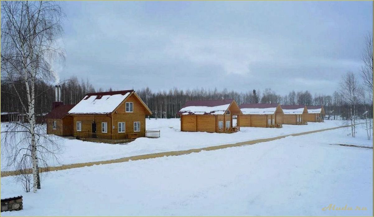 (загородный, отдых, псковской, области, лучшие) Загородный отдых в Псковской области — лучшие места для отдыха на природе