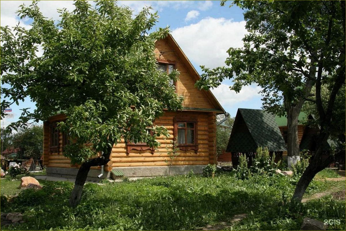 (загородный, отдых, детьми, владимирской, области) Загородный отдых с детьми в Владимирской области — лучшие места, активности и развлечения для всей семьи