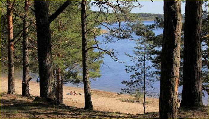 (база, отдыха, липовом, ленинградская, область) База отдыха в Липовом, Ленинградская область — идеальное место для отпуска в окружении природы и комфорта+