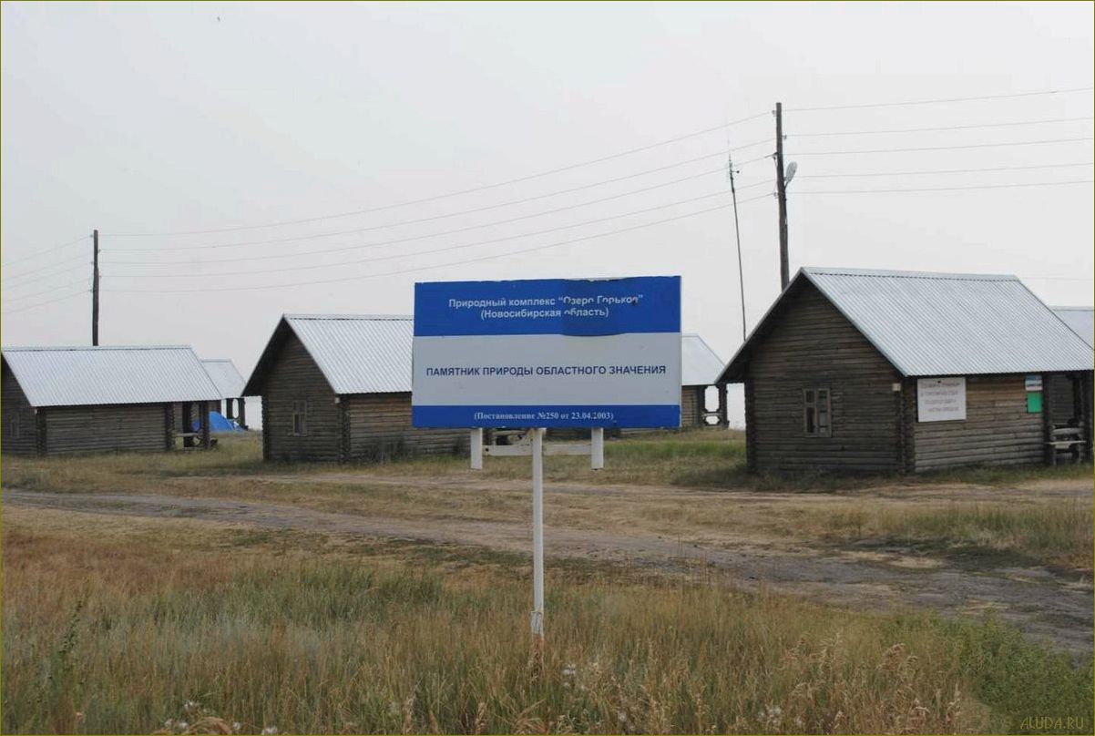 Уникальная база отдыха на живописном озере Горькое в Курганской области — идеальное место для незабываемого отдыха и релаксации