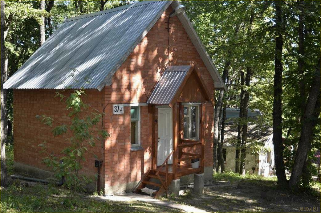 (база, отдыха, аннинском, районе, воронежской) База отдыха в Аннинском районе Воронежской области — идеальное место для вашего отдыха и развлечений