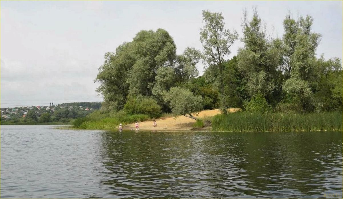 (база, отдыха, белые, пески, воронежской) База отдыха