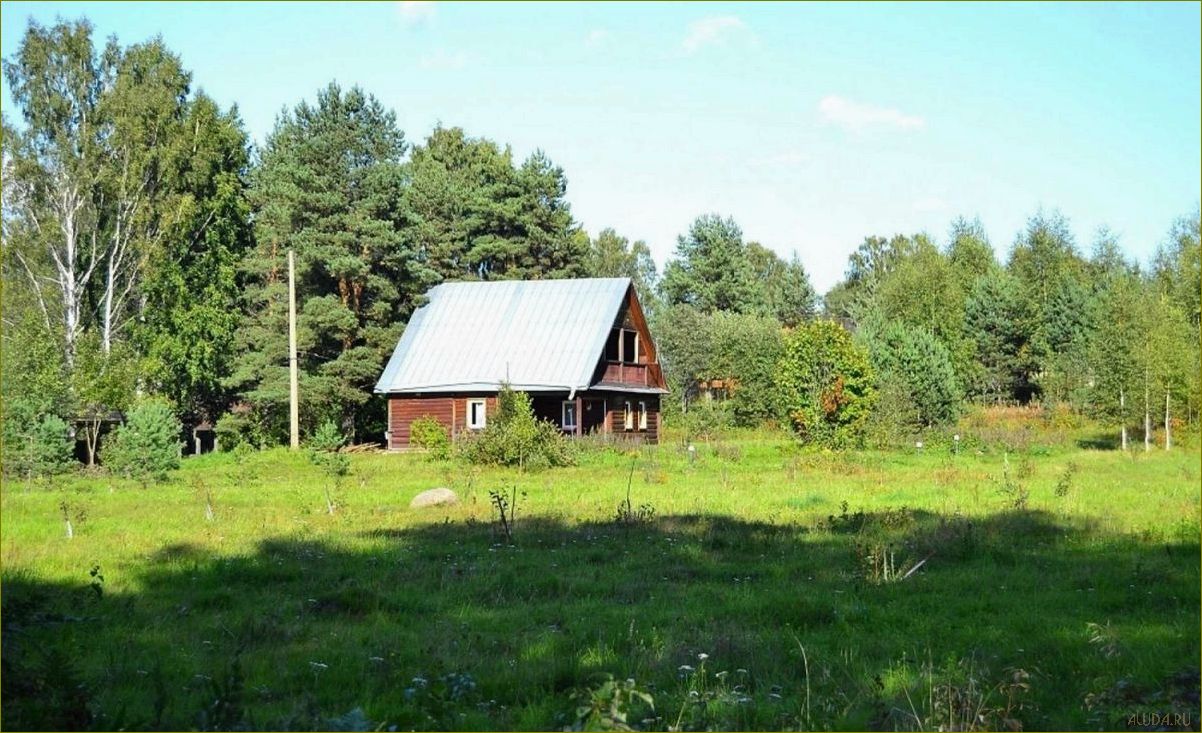 Уникальная база отдыха 