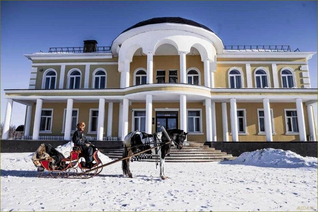 Отзывы о базе отдыха 
