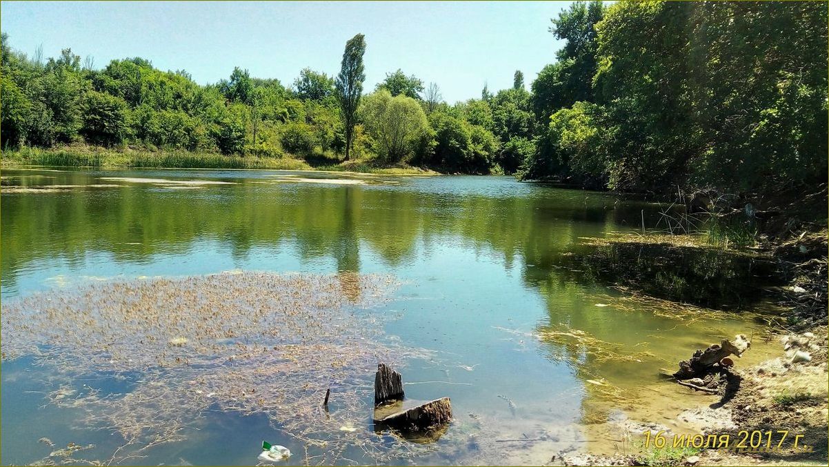 База отдыха на Белом озере в Ульяновской области