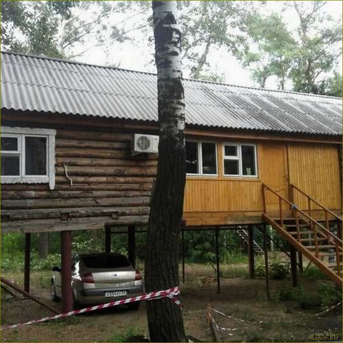 (база, отдыха, нептун, идеальное, место) База отдыха