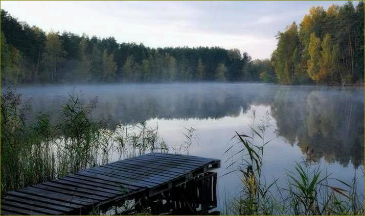 (лучшие, базы, отдыха, рыбалки, живописной) Лучшие базы отдыха для рыбалки в живописной Калининградской области — идеальное место для увлекательного и расслабляющего отдыха на рыбалке