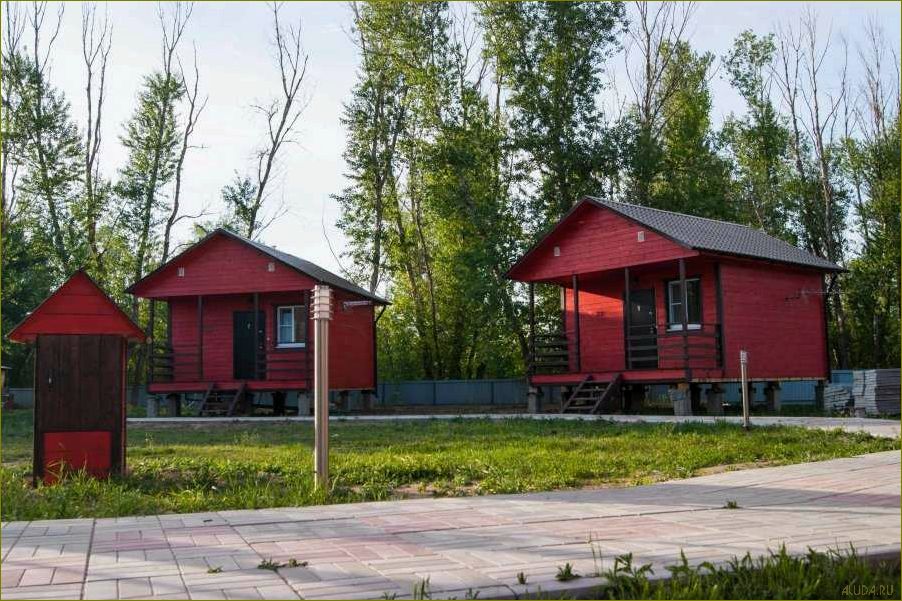 (лучшие, базы, отдыха, рыбалки, живописной) Лучшие базы отдыха для рыбалки в живописной Калининградской области — идеальное место для увлекательного и расслабляющего отдыха на рыбалке